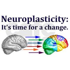 cf3a43f548ef0b0425f8af95032b8849