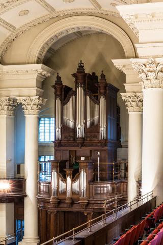 organ