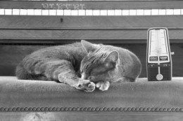 240_f_103173724_1wrksn0coxd91de5mebzkmiywytpkm1c